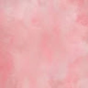 Meet your Posher, Abbie